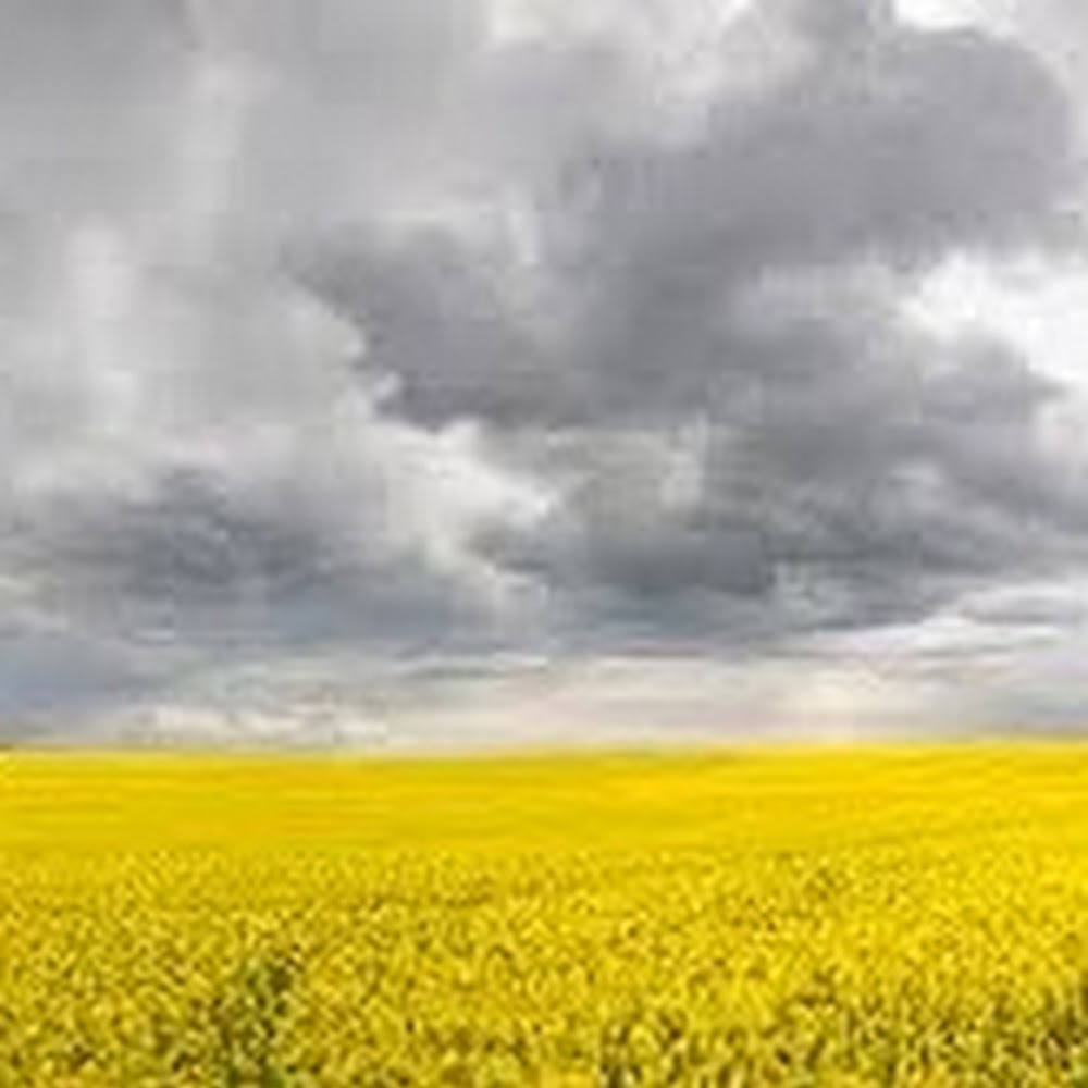 Meet your Posher, Audrey